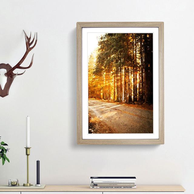 Sunlight Through the Forest - Picture Frame Painting Print East Urban Home Size: 36cm H x 27cm W x 2cm D, Frame Option: Oak Framed on Productcaster.