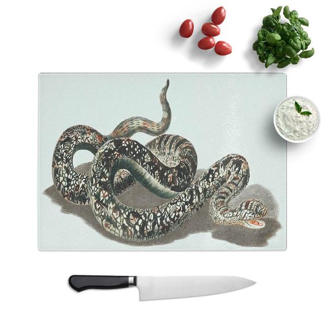 Tempered Glass Snake by Johan Teyler Chopping Board East Urban Home Size: 28.5 cm W x 20 cm L on Productcaster.