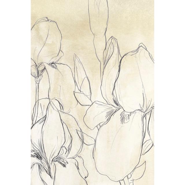 Iris Garden Sketch I - Wrapped Canvas Drawing Rosalind Wheeler Size: 91cm H x 61cm W on Productcaster.