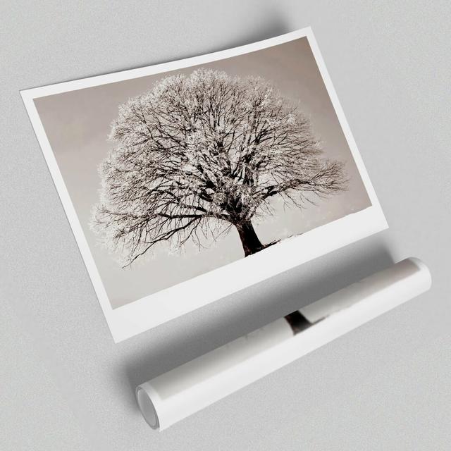 Lonely Winter Tree Flowers' - Unframed Photographic Print on Paper East Urban Home Size: 100 cm H x 141.4 cm W on Productcaster.