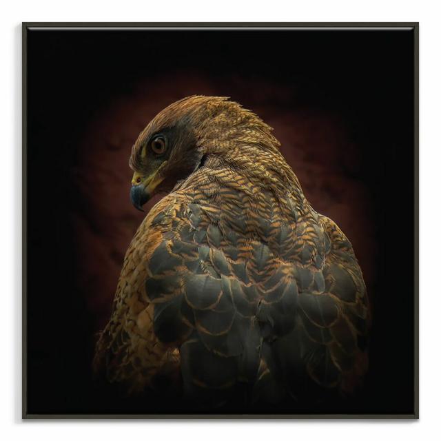 'Are You Watching Me?' Framed Photograph on Canvas World Menagerie Frame Options: Black, Size: 41cm H x 41cm W on Productcaster.