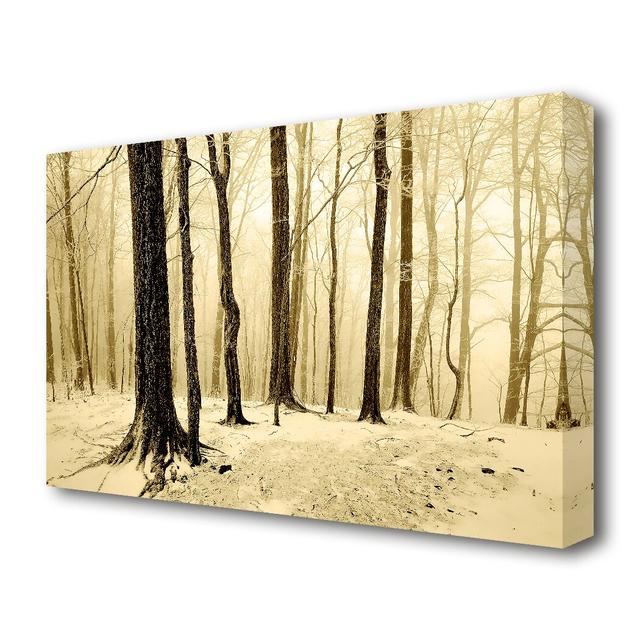 'Winter Woodland Snow Landscape' Photographic Print on Canvas East Urban Home Size: 66 cm H x 101.6 cm W on Productcaster.