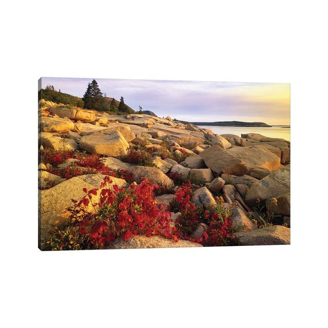 Atlantic Coast Near Thunder Hole, Acadia National Park, Maine III by Tim Fitzharris - Wrapped Canvas Print Alpen Home Size: 20.32cm H x 30.48cm W x 1. on Productcaster.