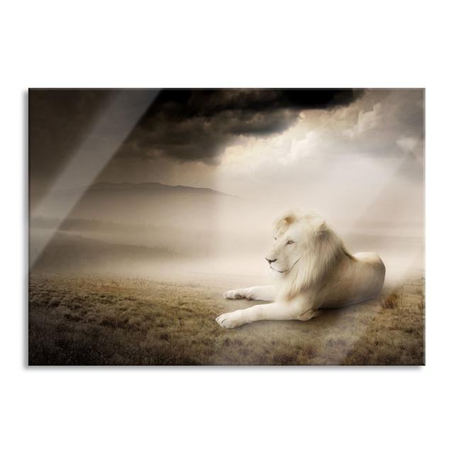 Proud White Lion King - Unframed Photograph on Glass Brayden Studio Size: 60cm H x 80cm W x 0.4cm D on Productcaster.