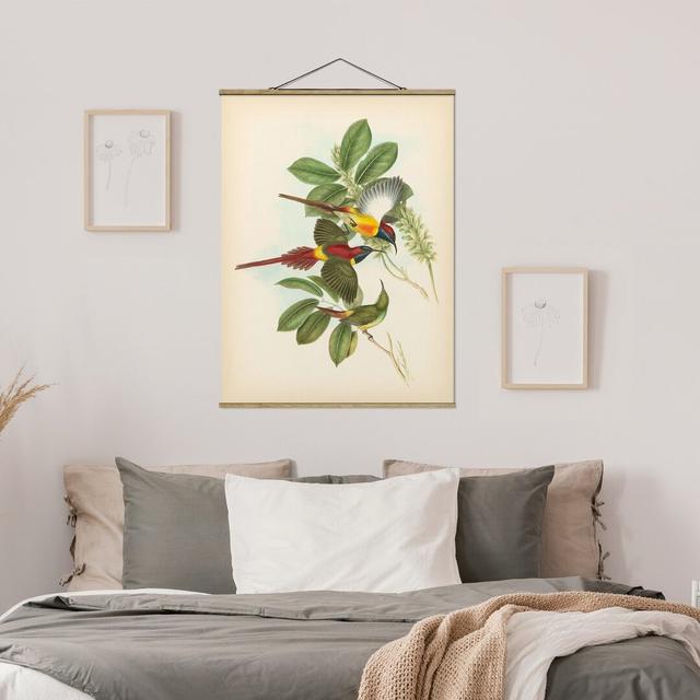 Vintage Illustration Tropical Birds III - Painting Print August Grove Size: 133.5cm H x 100cm W x 0.3cm D on Productcaster.