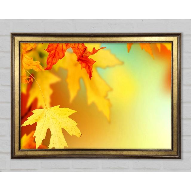 Yellow Autumn Leaves Macro - Single Picture Frame Art Prints Ebern Designs Size: 42cm H x 59.7cm W x 1.5cm D on Productcaster.