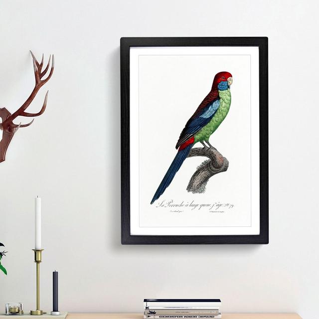 Broad Tailed Parrot by F. Levaillant - Picture Frame Graphic Art Print East Urban Home Frame Option: Black Framed, Size: 65cm H x 48cm W x 2cm D on Productcaster.