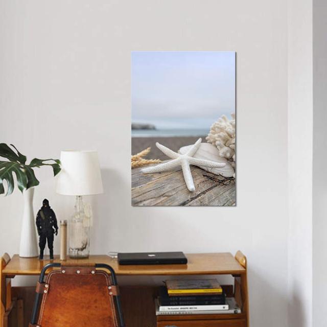 'Crescent Beach Shells XIV' by Alan Blaustein Photographic Print on Wrapped Canvas House of Hampton Size: 66.04cm H x 45.72cm W x 3.81cm D on Productcaster.