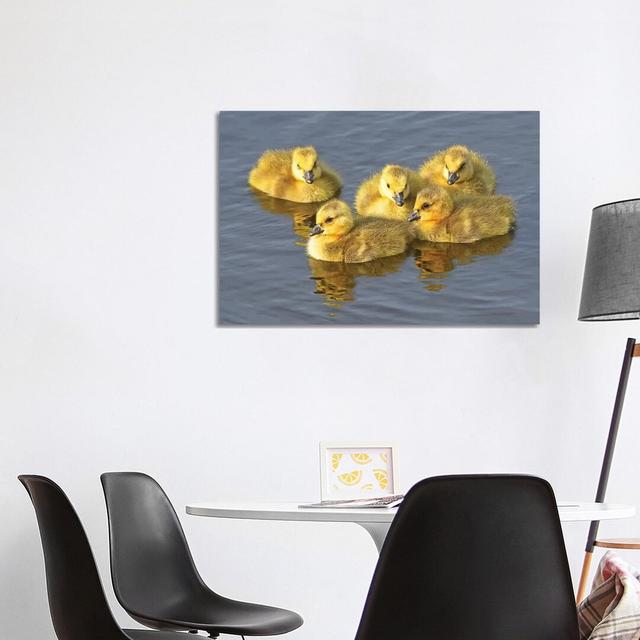 Yellow Puffballs by Brian Wolf - Wrapped Canvas Art Prints August Grove Size: 66.04cm H x 101.6cm W on Productcaster.