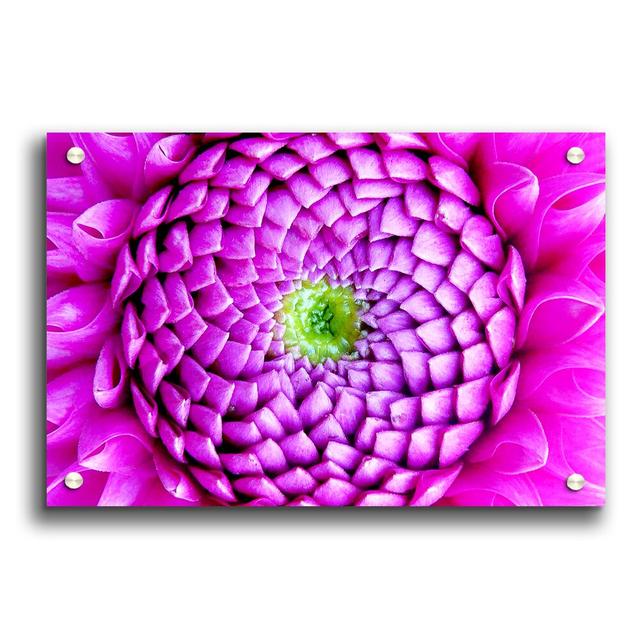 Pink Petal Ocean Flowers - Unframed Photograph Print on Acrylic East Urban Home Size: 42cm H x 59.4cm W on Productcaster.