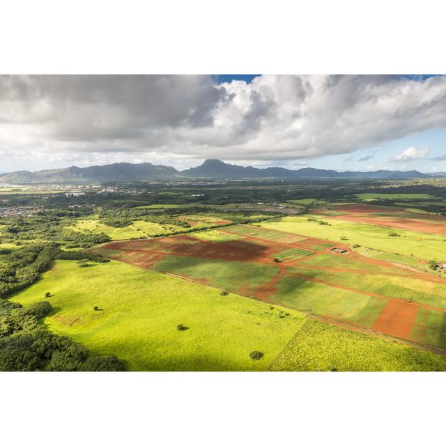 Aerial view of cultivated land Latitude Run Size: 81cm x 122cm W on Productcaster.