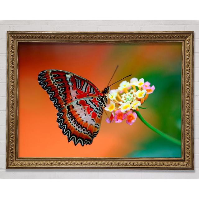 Colourful Butterfly Rests - Single Picture Frame Art Prints Ebern Designs Size: 59.7cm H x 84.1cm W on Productcaster.