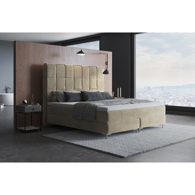 Echtes Boxspringbett Sade mit Premium Visco Topper, mit Samtstoff bezogen Canora Grey Größe: 120 x 200 cm, Matratzenhärte: H3 - ca. 75-100 kg, Farbe: on Productcaster.