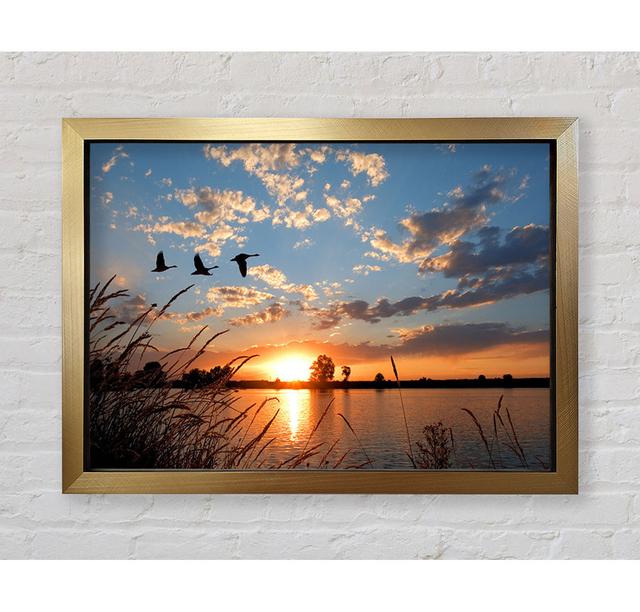 Single Picture Frame Art Prints Ebern Designs Size: 42cm H x 59.7cm W on Productcaster.