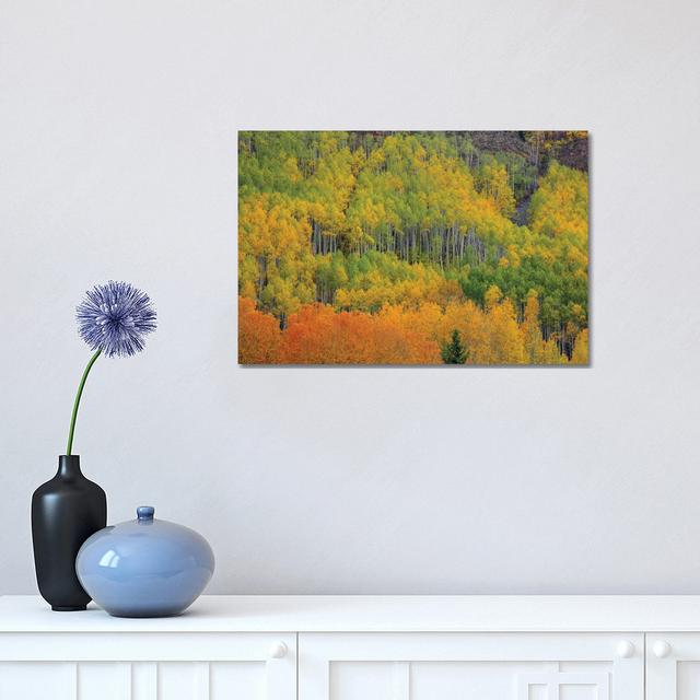 Colorful Aspen Forest by Bill Sherrell - Wrapped Canvas Painting Alpen Home Size: 30.48cm H x 45.72cm W x 1.905cm D on Productcaster.