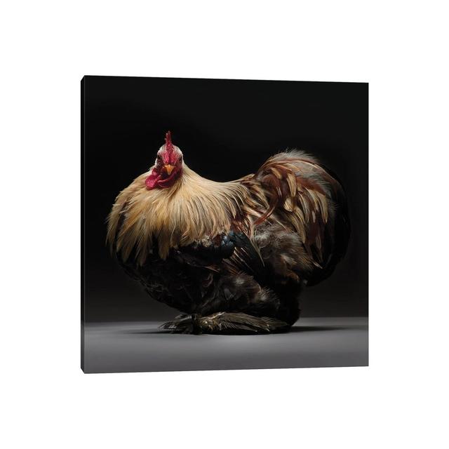 Pekin Bantam - Wrapped Canvas Photograph Brambly Cottage Size: 45.72cm H x 45.72cm W x 1.91cm D on Productcaster.