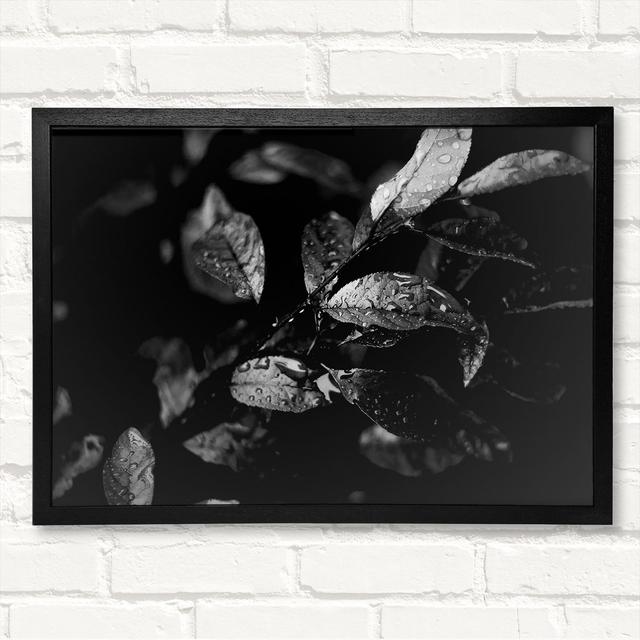 Closed Corner Frame Art Prints on Wood Brayden Studio Size: 59.7cm H x 84.1cm W x 3cm D, Format: Black Framed Wood on Productcaster.