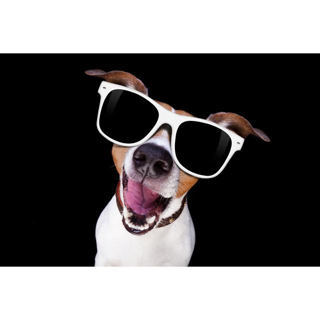 Cool Sunglasses Dog by Damedeeso - Wrapped Canvas Print Ebern Designs Size: 81cm H x 122cm W x 3.8cm D on Productcaster.