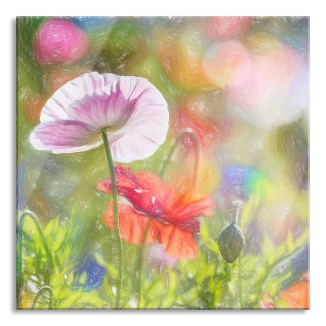 Glasbild Quadratisch Kalifornischer Mohn im Frühling Brayden Studio Größe: 60 cm H x 60 cm B x 0.4 cm T on Productcaster.