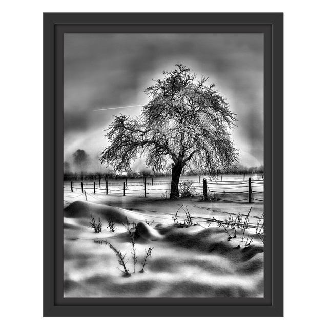 Gerahmtes Wandbild Baum in Winterlandschaft East Urban Home Größe: 38 cm H x 30 cm B on Productcaster.