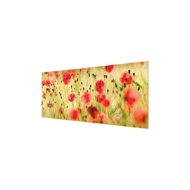 'Summer Poppies' Graphic Art on Glass East Urban Home Size: 50 cm H x 125 cm W on Productcaster.