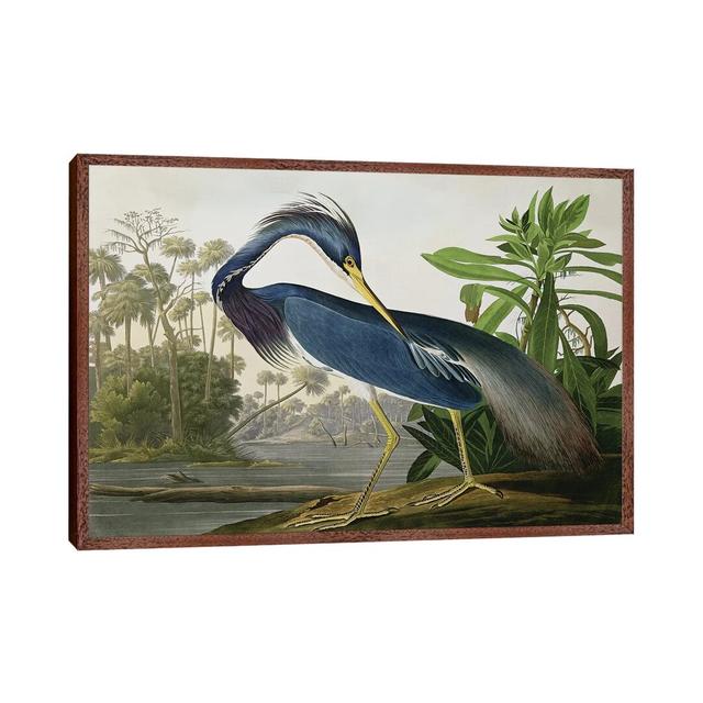 Louisiana Heron by John Audubon - Gallery-Wrapped Canvas Giclee on Canvas East Urban Home Frame Option: Brown Framed, Size: 101.6cm H x 152.4cm W x 3. on Productcaster.