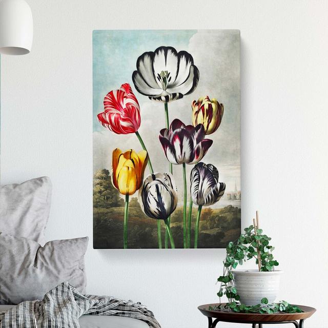 Striped Tulips by R.J. Thornton - Wrapped Canvas Painting East Urban Home Size: 76cm H x 50cm W x 3cm D on Productcaster.