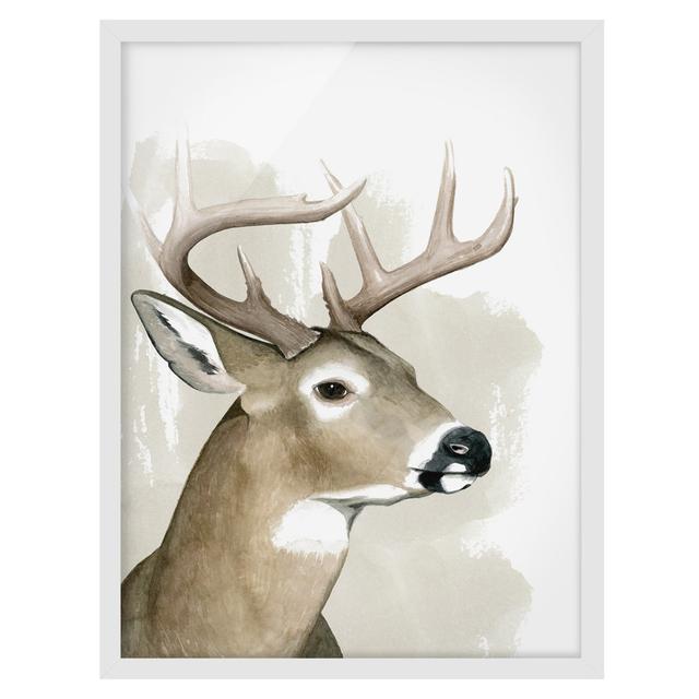 Forest Friends - Deer - Picture Frame Graphic Art Union Rustic Frame Option: White, Size: 70cm H x 50cm W x 2cm D on Productcaster.