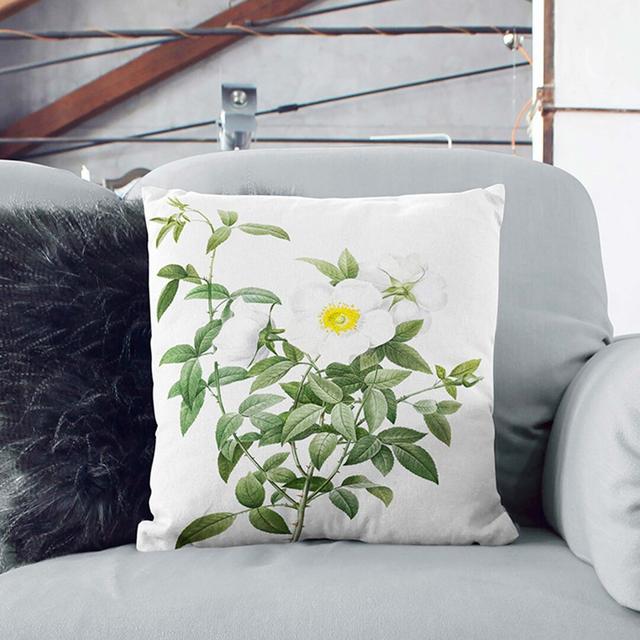 Cherokee Rose by Pierre-Joseph Redoute Cushion with Filling East Urban Home Size: 40cm H x 40cm W x 15cm D, Backing Colour: White on Productcaster.