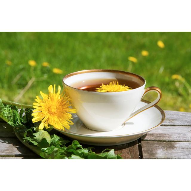 Dandelion Tea by Fermate - Wrapped Canvas Print 17 Stories Size: 51cm H x 76cm W on Productcaster.