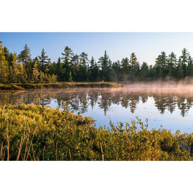 Pond in Michigan - Wrapped Canvas Photograph Union Rustic Size: 20cm H x 30cm W x 3.8cm D on Productcaster.