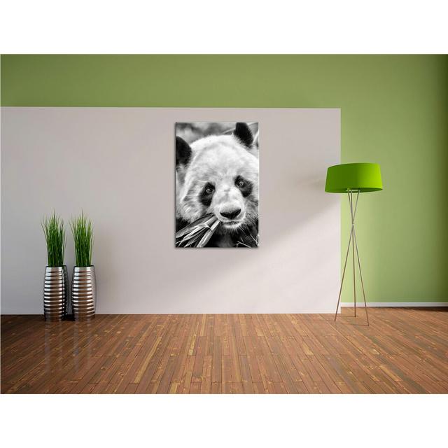 Leinwandbild Pandabär frisst Bambus East Urban Home Größe: 100 cm H x 70 cm B on Productcaster.