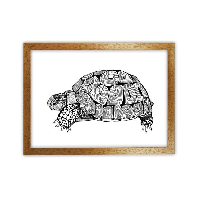 Tortoise by Carissa Tanton - Graphic Art Print on Paper Bay Isle Home Frame Option: Oak Framed, Size: 25cm H x 34cm W x 3cm D on Productcaster.