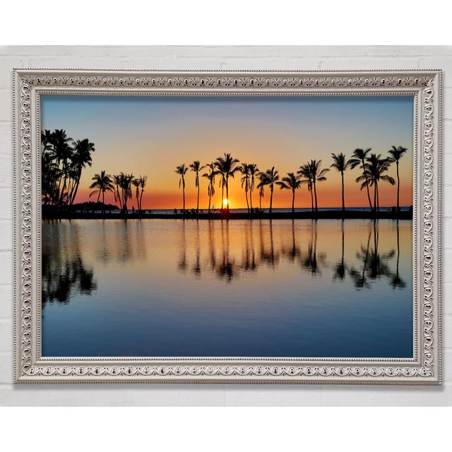 Reflections Of The Palm Trees - Print Bright Star Size: 21cm H x 29.7cm W on Productcaster.