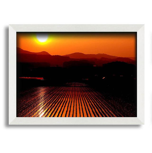 Rice Field - Single Picture Frame Art Prints Alpen Home Size: 21cm H x 29.7cm W on Productcaster.