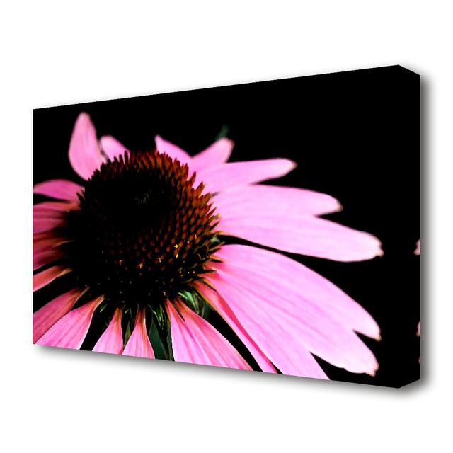 Pom Pom Daisy Centre Flowers Canvas Print Wall Art East Urban Home Size: 50.8 cm H x 81.3 cm W on Productcaster.