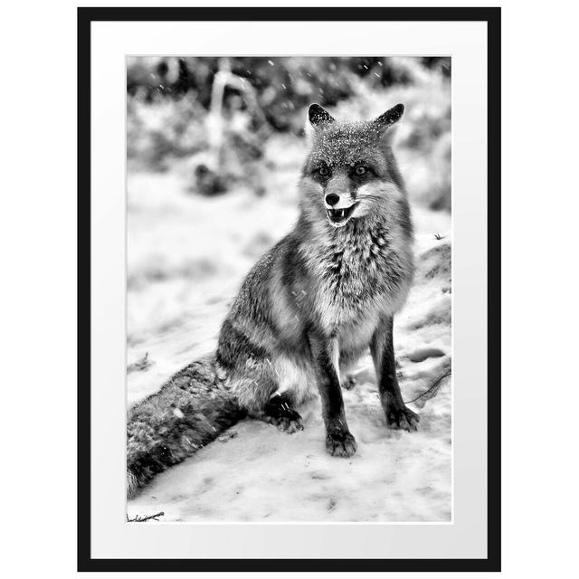 Gerahmtes Poster Fuchs im Schnee East Urban Home Größe: 80 cm H x 60 cm B on Productcaster.