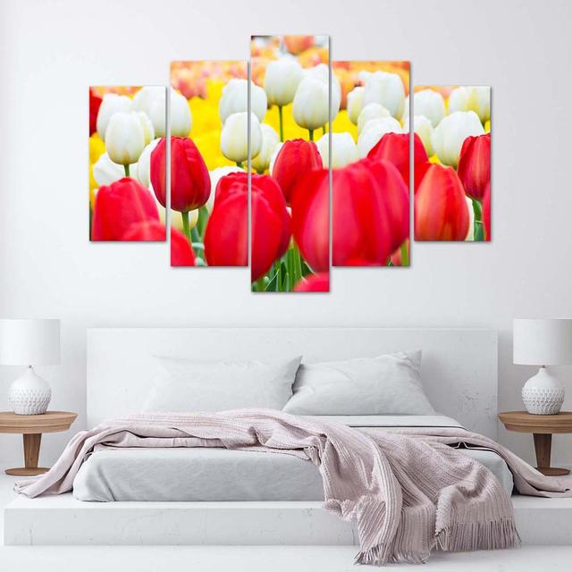 Leinwandbild Tulip Red White Ebern Designs Größe: 100 cm H x 200 cm B on Productcaster.