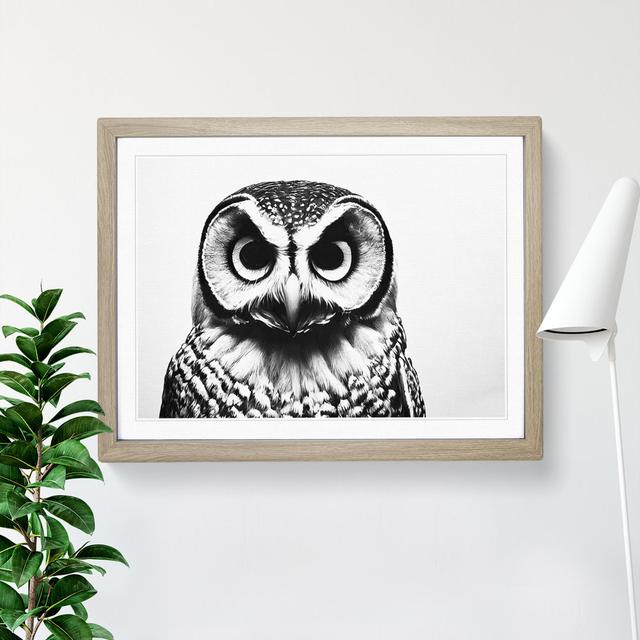 Barn Owl Monochrome - Single Picture Frame Painting Union Rustic Frame Colour: Oak, Size: 34cm H x 46cm W x 2cm D on Productcaster.