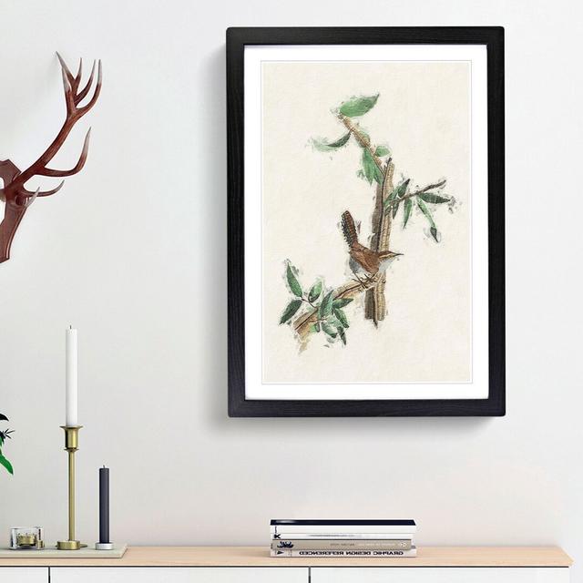 Bewicks Wren by John Audubon - Picture Frame Painting Print on Paper East Urban Home Frame Option: Black Framed, Size: 63cm H x 45cm W x 2cm D on Productcaster.