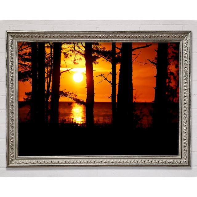 Orange Sunset Through The Trees Framed Print Wall Art ClassicLiving Size: 59.7cm H x 84.1cm W x 3cm D, Format: Silver Framed Paper on Productcaster.