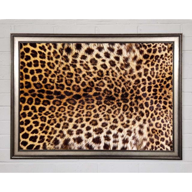 Cheetah Markings - Single Picture Frame Art Prints Canora Grey Size: 29.7cm H x 42cm W x 1.5cm D on Productcaster.