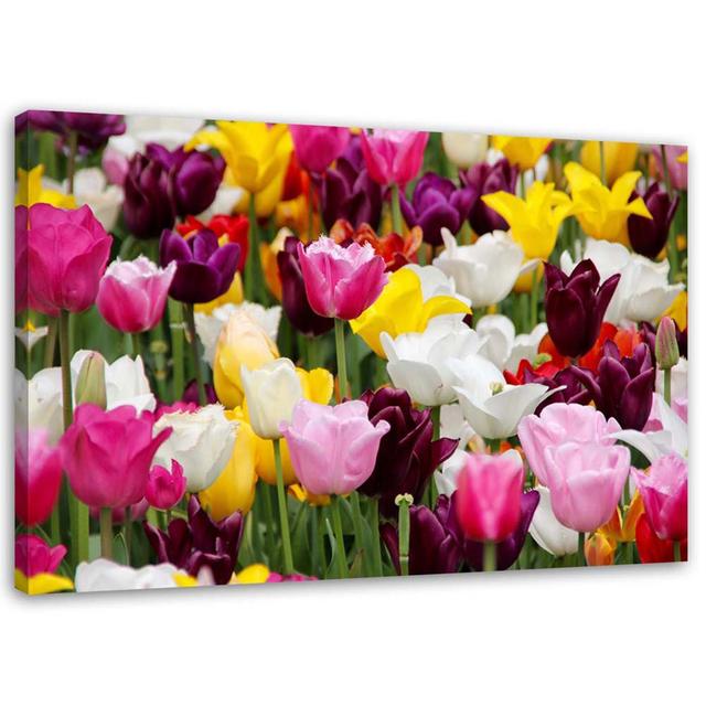 Leinwandbild Meadow full of tulips Ebern Designs Größe: 40 cm x 60 cm on Productcaster.