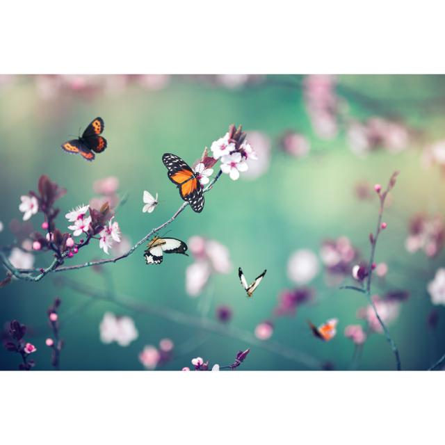 Blooming Tree With Butterflies - Wrapped Canvas Art Prints Brambly Cottage Size: 30cm H x 46cm W x 3.8cm D on Productcaster.