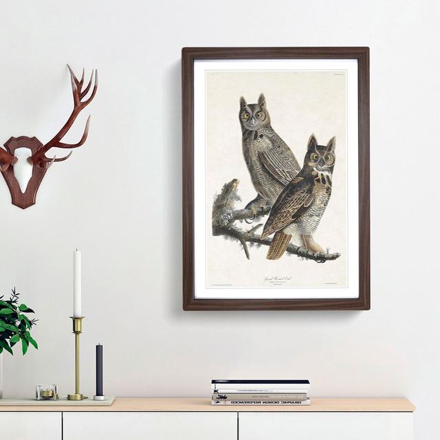 Great Horned Owls by John Audubon - Picture Frame Painting Print East Urban Home Size: 36cm H x 27cm W x 2cm D, Frame Option: Walnut Framed on Productcaster.