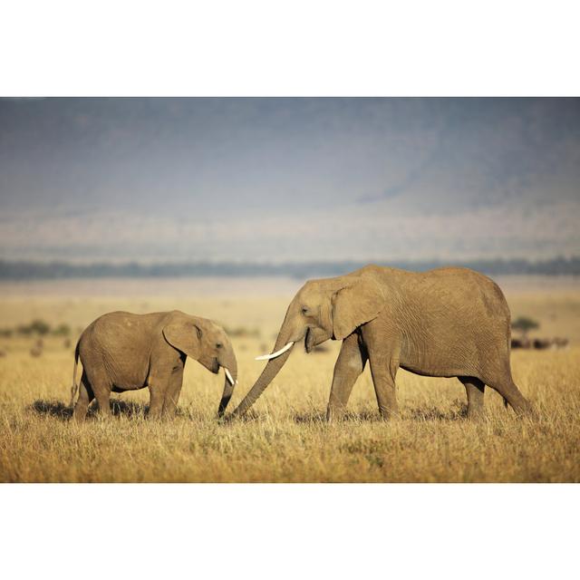 Mother And Baby Elephant In The Field by GP232 - Wrapped Canvas Art Prints 17 Stories Size: 30cm H x 46cm W on Productcaster.