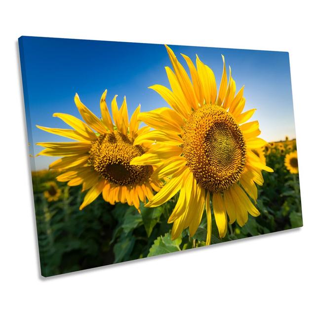 Sunflower Floral Scene CANVAS WALL ART Framed Print August Grove Size: 91.4cm H x 137.2cm W x 4cm D on Productcaster.