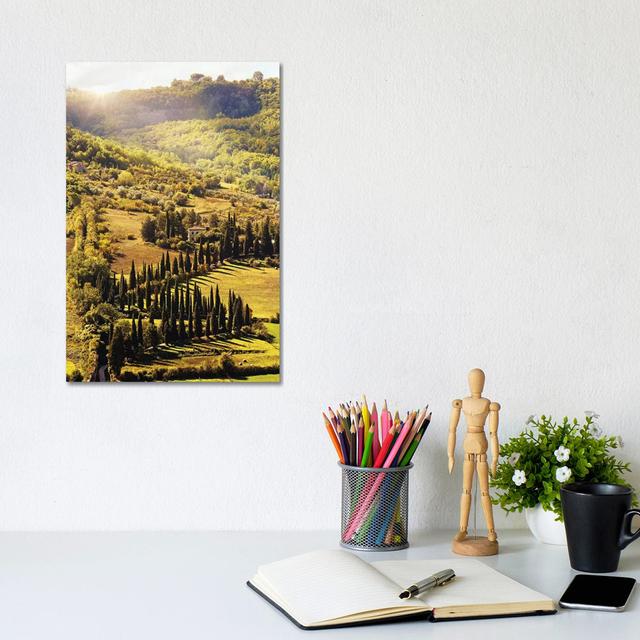 Countryside In Tuscany Italy With Cyprus Trees by Susan Richey - Gallery-Wrapped Canvas Giclée on Canvas Alpen Home Size: 30.48cm H x 20.32cm W x 1.91 on Productcaster.