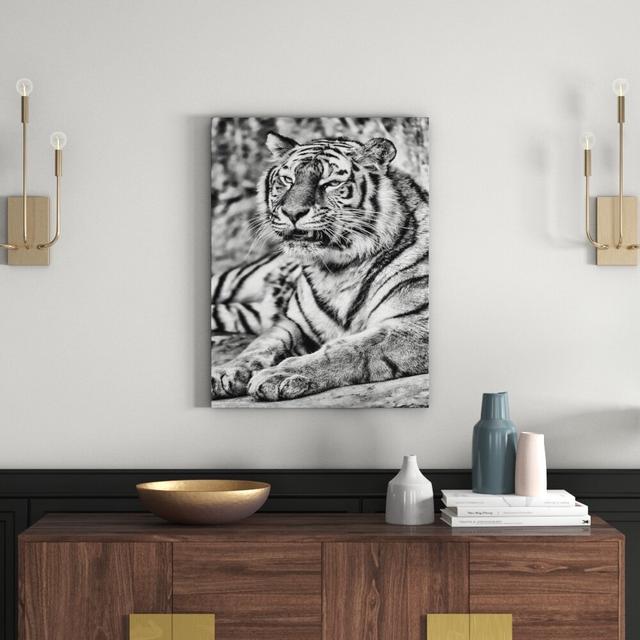 Leinwandbild Stolzer Tiger in Monochrom East Urban Home Größe: 60 cm H x 40 cm B on Productcaster.