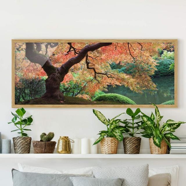 Japanese Garden - Picture Frame Photograph Union Rustic Frame Option: Brown Framed, Size: 30cm H x 75cm W x 2cm D on Productcaster.